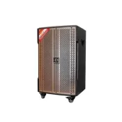 Loa Di Động DALTON TS12G380N