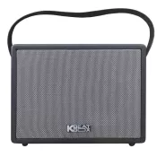 Loa Di Động Xách Tay Cao Cấp ACNOS CS270