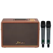 Loa Di Động Acnos D'Auris 300