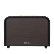 Loa ACNOS ACOUSTIC 3