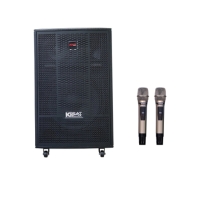 Loa kéo ACNOS CB41NEO