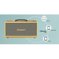 LOA  DI ĐỘNG PASION 2C