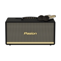 Loa Karaoke Di Động Xách Tay PASION 2