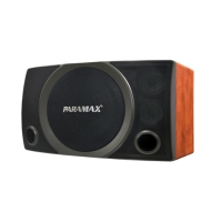 Loa PARAMAX PLATINUM SC3500