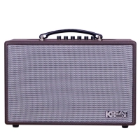 Loa karaoke di động xách tay ACNOS CS160