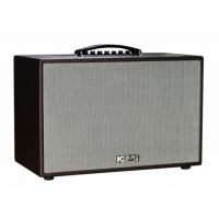 Loa Karaoke mini xách tay ACNOS CS250PUW