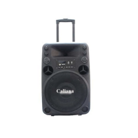 LOA KÉO DI ĐỘNG CALIANA TO-12