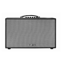 Loa Karaoke mini xách tay ACNOS CS200PU