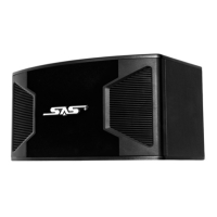 Loa Karaoke SAS S-500 NEW