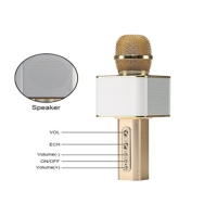 Micro kèm loa 3 trong 1 YS-10