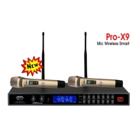 Micro Không Dây ANA PRO-X9