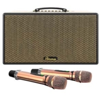 Loa Karaoke Di Động Xách Tay PARAMAX Aura