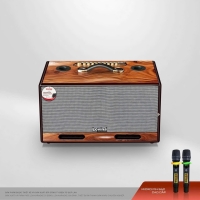 Loa Karaoke Di Động LOVINA L865PU