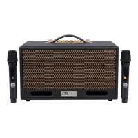 Loa Xách Tay Nova Audio LUX-216V1