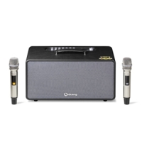 Bộ loa di động Arirang- MB2s