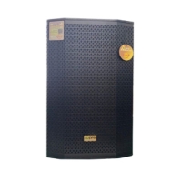 Loa full AVPRO PT112