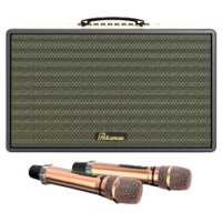 Loa Karaoke Di Động  PARAMAX SAGA