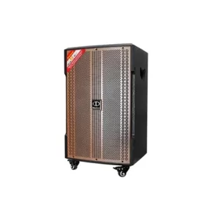 Loa Di Động DALTON TS12G380N
