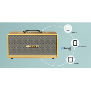 LOA  DI ĐỘNG PASION 2C