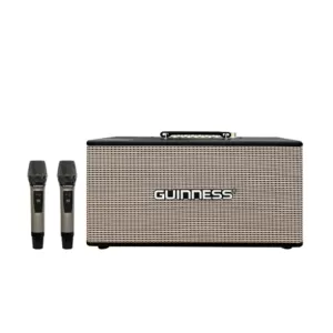 Loa GUINNESS GX - 305