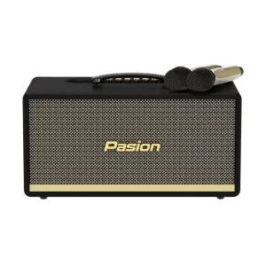 Loa Karaoke Di Động Xách Tay PASION 2