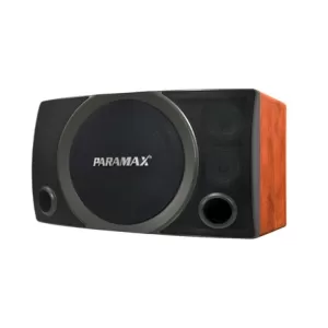 Loa PARAMAX PLATINUM SC3500