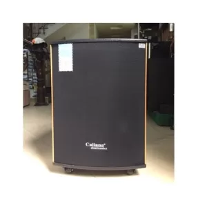 LOA KÉO DI ĐỘNG CALIANA WD15B