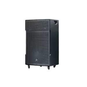 LOA DI ĐỘNG DALTON TS18G800X