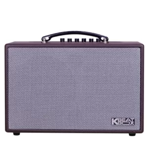 Loa karaoke di động xách tay ACNOS CS160