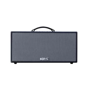 Loa Di Động ACNOS CS448