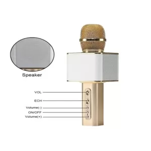 Micro kèm loa 3 trong 1 YS-10