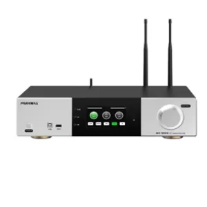 Amply 3 in 1 PARAMAX AX-1000|Kèm 2 Micro Không Dây