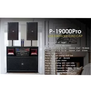 Loa Di Động OMATON P-19000PRO