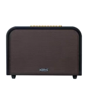 Loa ACNOS ACOUSTIC 3