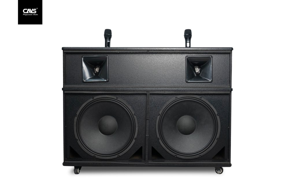 Loa kéo CAVS PA215 2 Bass 40-2024