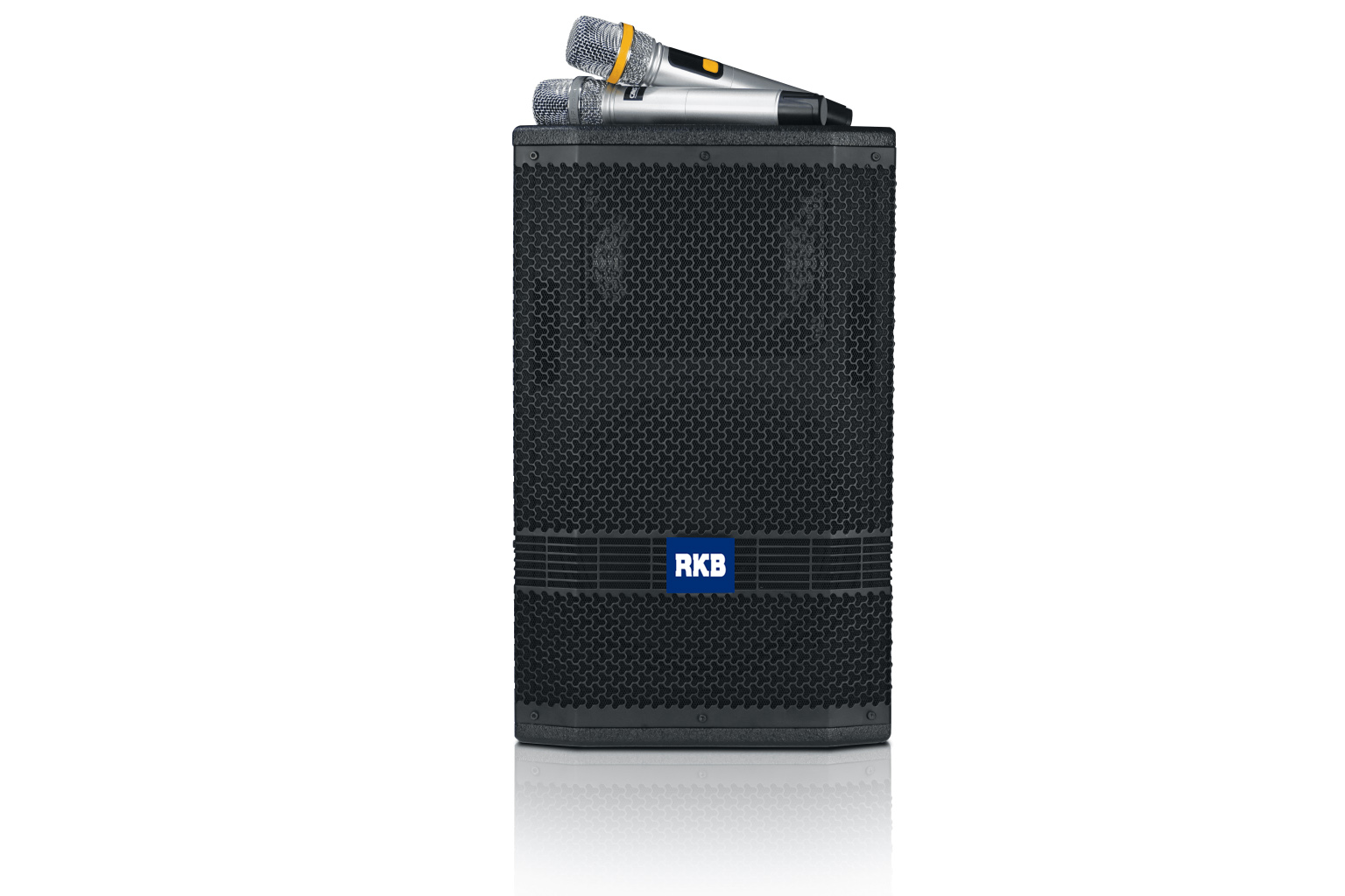 Loa Di Động RKB K10 Pro