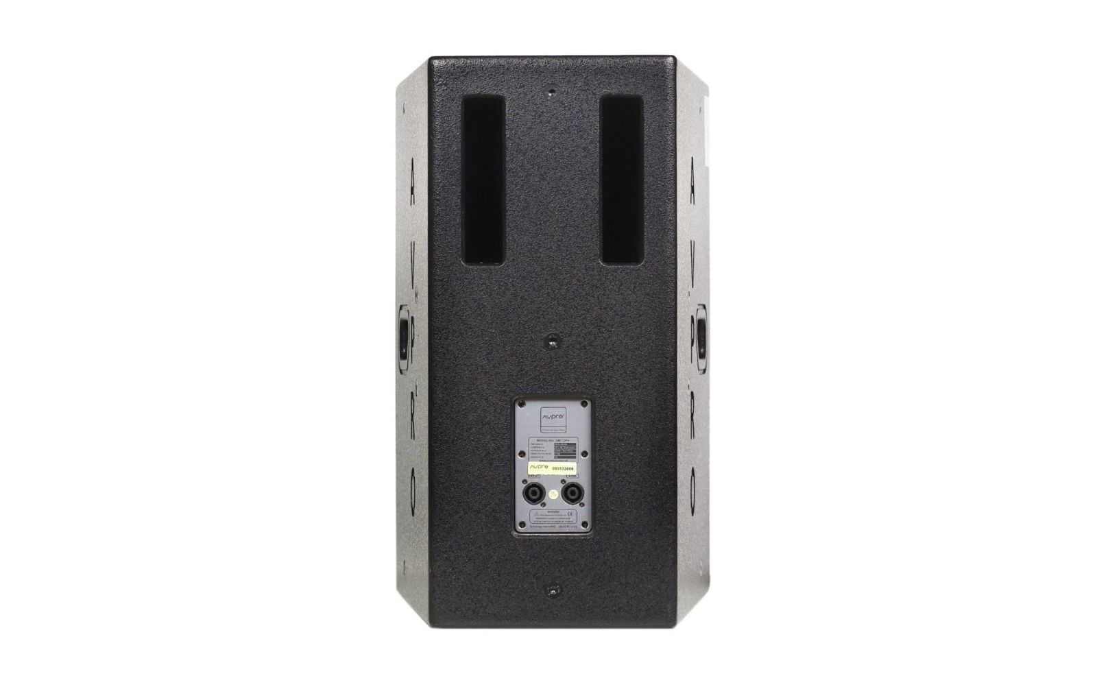 Loa Full AVPRO SM110