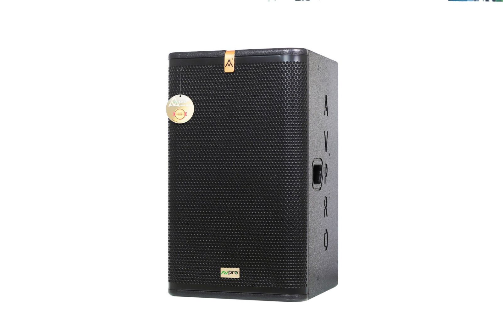 Loa Full AVPRO SM110