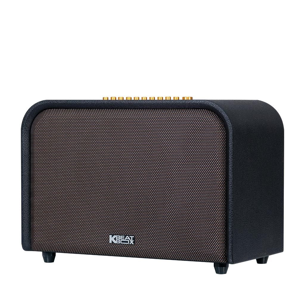 Dàn Âm Thanh Di Động ACNOS ACOUSTIC 3