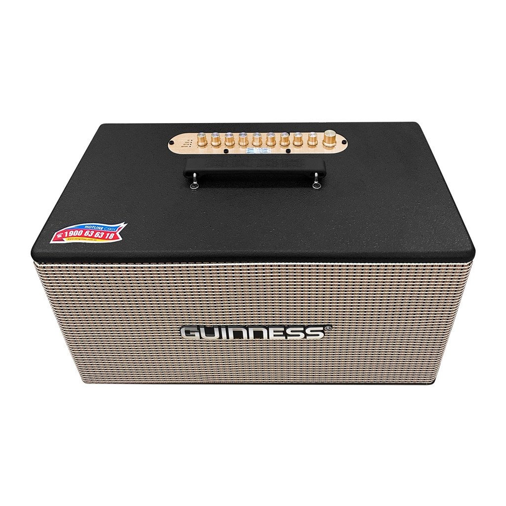 Loa GUINNESS GX - 305