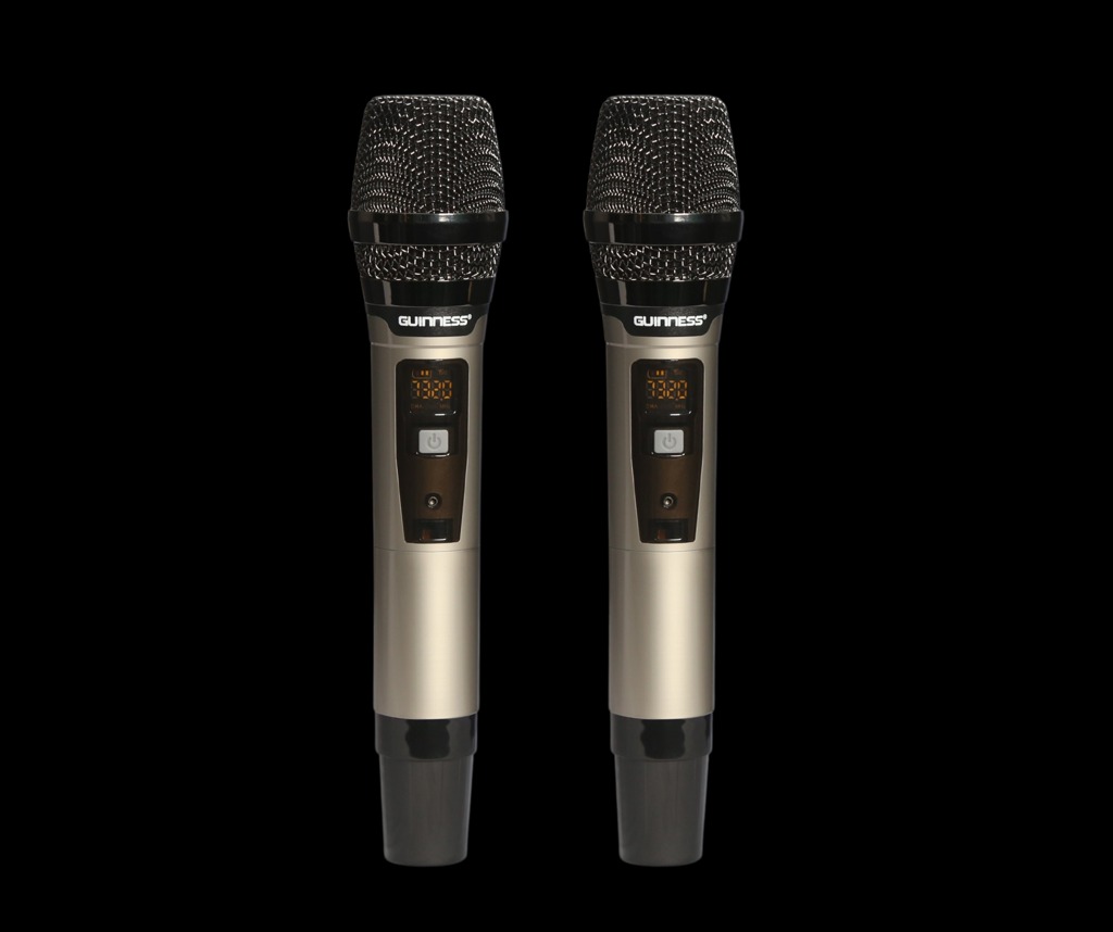 Loa GUINNESS GX - 305