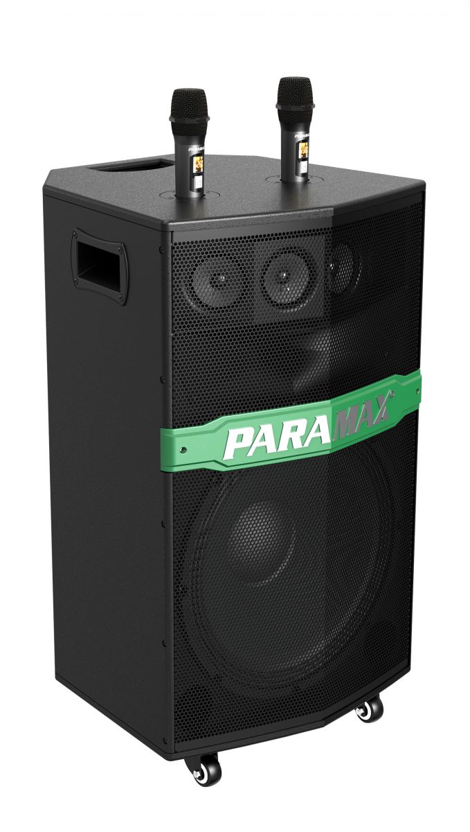 Loa di động PARAMAX GO-300S