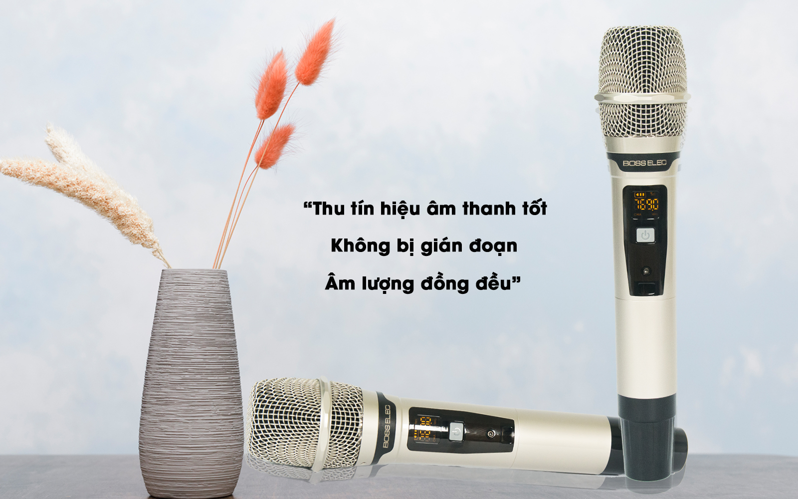 Loa karaoke di động BossElec M-6015 Chính Hãng