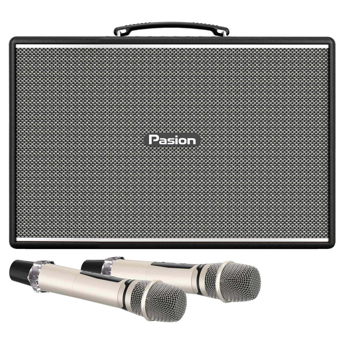 Loa Di Động Paramax PASION Mozo