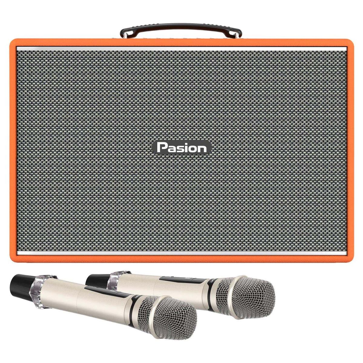 Loa Di Động Paramax PASION Mozo