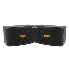 LOA KARAOKE CAVS CX10