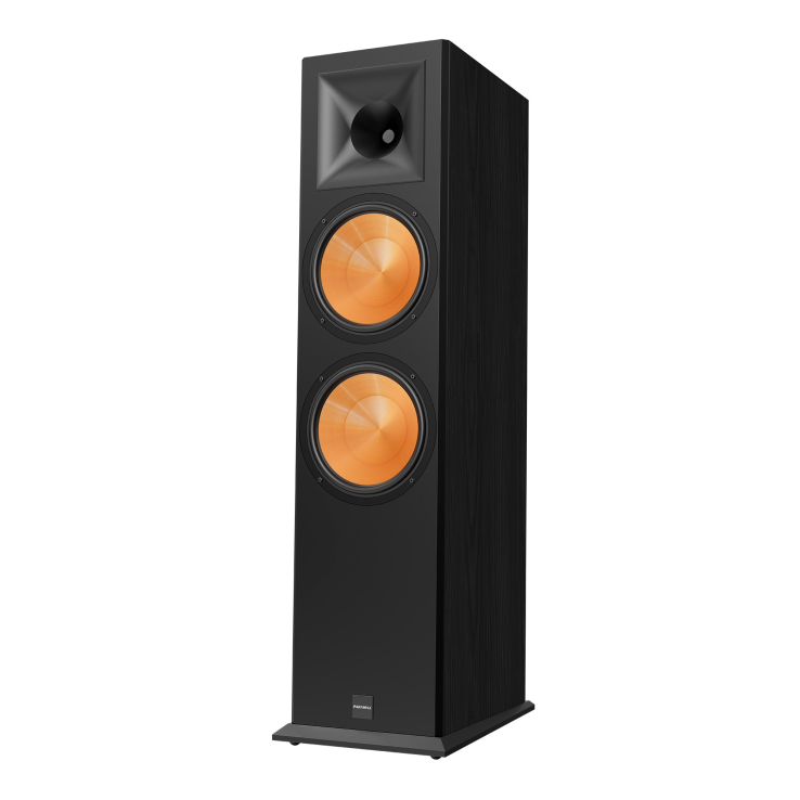 Loa PARAMAX-EURO 1002 Limited