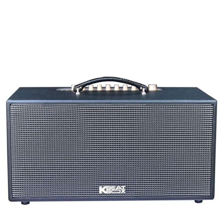 Loa di động xách tay ACNOS CS447