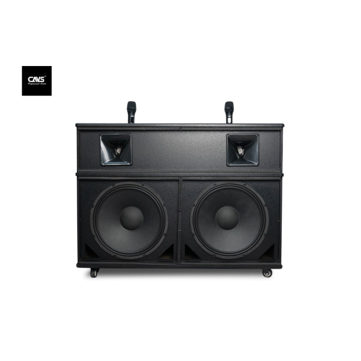 Loa kéo CAVS PA215 2 Bass 40-2024