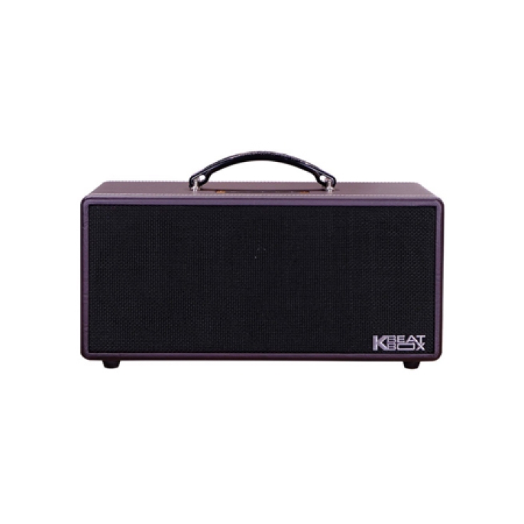 Loa Di Động Mini  ACNOS KS362D